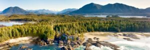 buy magic mushrooms in tofino BC