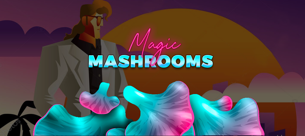 buy dried magic mushroms