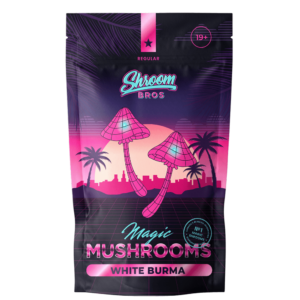 Buy White Burma Magic Mushrooms Online in Canada